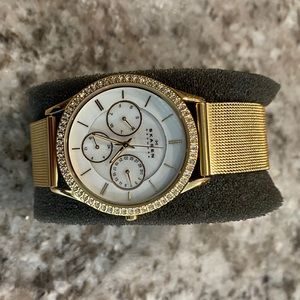 Skagen Gold Tone Watch